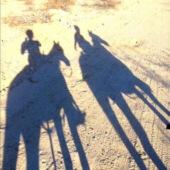 Meet your Posher, Deborah - Picture 1 of 1